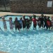 Swimmingx800x800