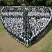 Whole school as badge.jpg